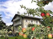 Agriturismo Valle-Aosta : VERGER PLEIN SOLEIL(Saint Pierre)