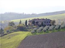 Agriturismo Italia : AGRITURISMO BARDANELLA(Allerona)